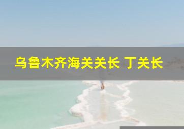 乌鲁木齐海关关长 丁关长